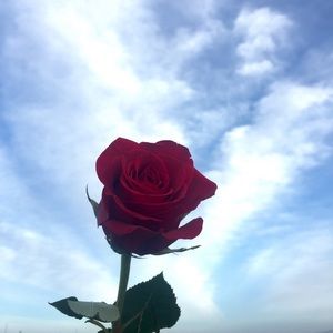 Meet your Posher, Chole